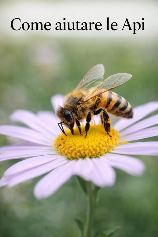 Fasi di lavorazione del miele