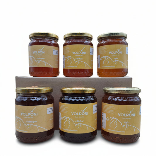 Family Pack i tre mieli delle Alpi 6 vasetti da 500g SPEDIZIONE GRATUITA IN TUTTA ITALIA