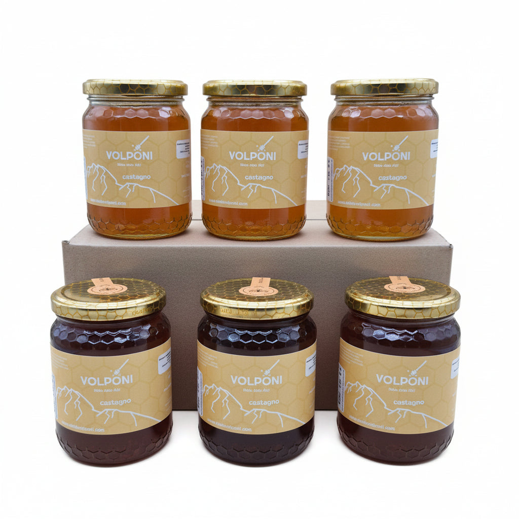 Family Pack miele di Castagno 6 vasetti da 500g SPEDIZIONE GRATUITA IN TUTTA ITALIA