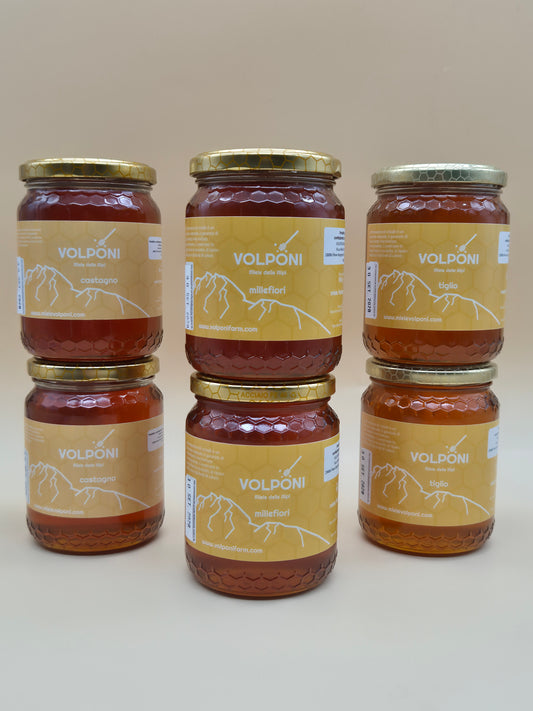 Family Pack i tre mieli delle Alpi 6 vasetti da 500g SPEDIZIONE GRATUITA IN TUTTA ITALIA