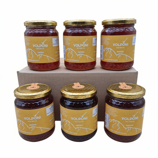Family Pack miele di Melata 6 vasetti 500g SPEDIZIONE GRATUITA IN TUTTA ITALIA